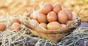 1,68 milyar adet yumurta üretildi