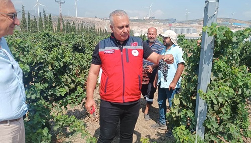 İl Müdürü Türkmen Üzüm Bağı’nda İncelemelerde Bulundu haber fotoğrafı