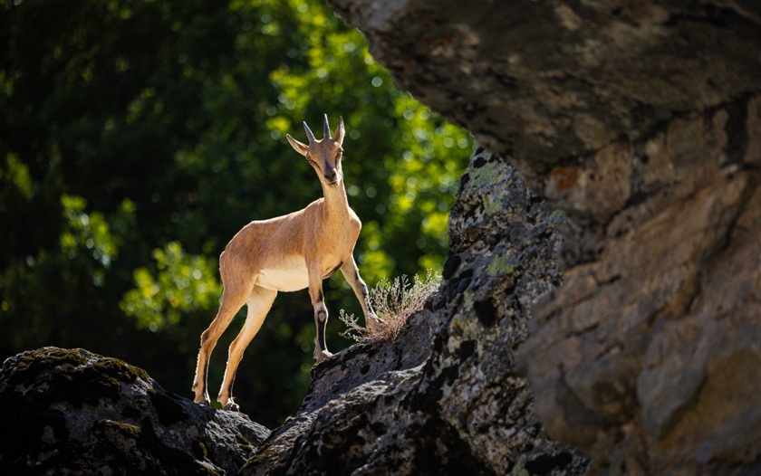 İşte, Fotoğraflarla  Türkiye’nin Güzellikleri haber fotoğrafı