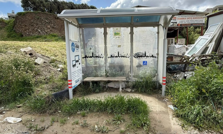 Yabani Otların Budanma Vakti Gelmedi mi?